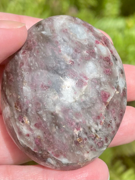 Large Garnet Palm Stone from Madagascar - Morganna’s Treasures 