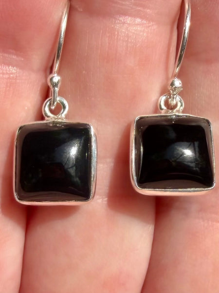 Black Onyx Earrings - Morganna’s Treasures