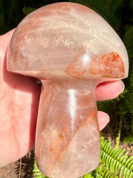Beautiful Hematoid Quartz Mushroom - Morganna’s Treasures