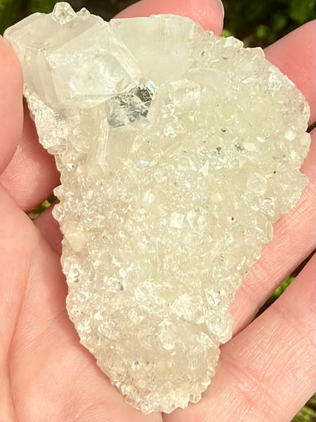 Apophyllite Cluster