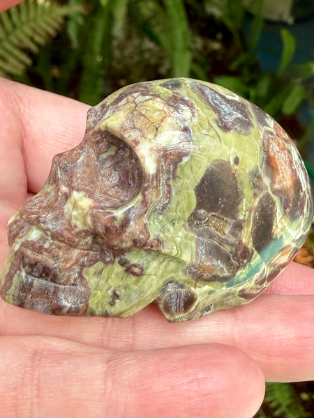 Money Agate Skull