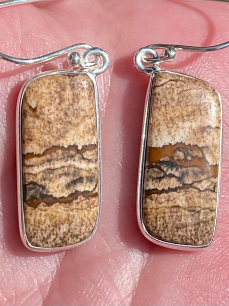 Picture Jasper Earrings - Morganna’s Treasures 