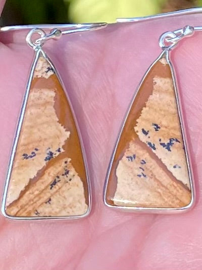 Picture Jasper Earrings - Morganna’s Treasures