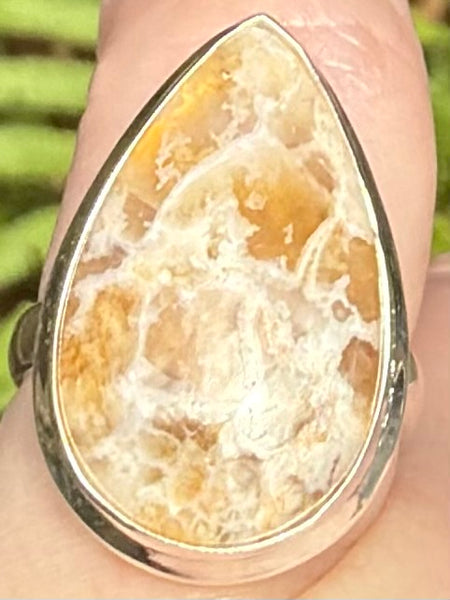 Graveyard Plume Agate Ring Size 6 - Morganna’s Treasures
