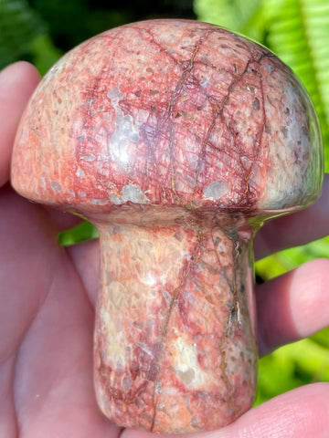 Beautiful Red Moonstone Mushroom