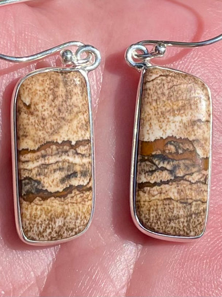 Picture Jasper Earrings - Morganna’s Treasures 