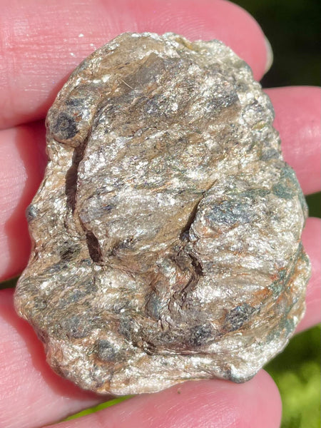 Beautiful Garnet with Mica Schist Palm Stone - Morganna’s Treasures