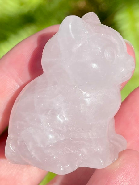 Rose Quartz Carved Cat - Morganna’s Treasures 