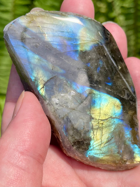 Gorgeous Labradorite Slab - Morganna’s Treasures 