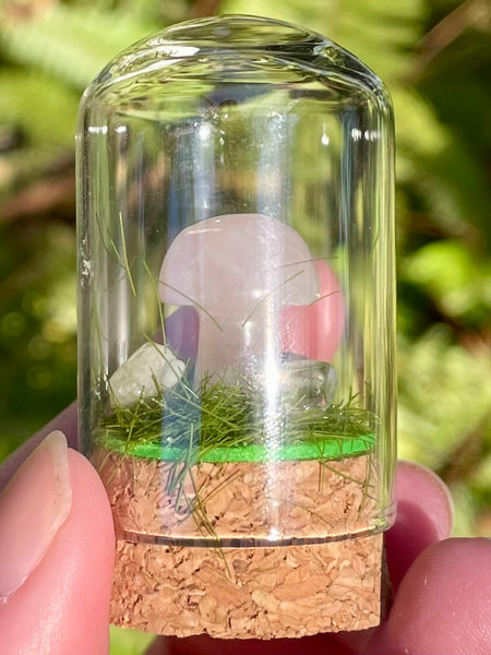 Rose Quartz Mushroom Terrarium