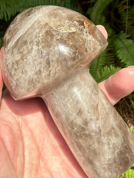 Gorgeous Smoky Quartz Mushroom - Morganna’s Treasures