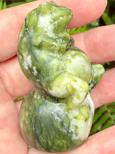 Serpentine Frog