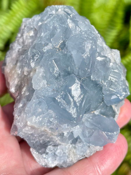 Large Celestite Cluster - Morganna’s Treasures 