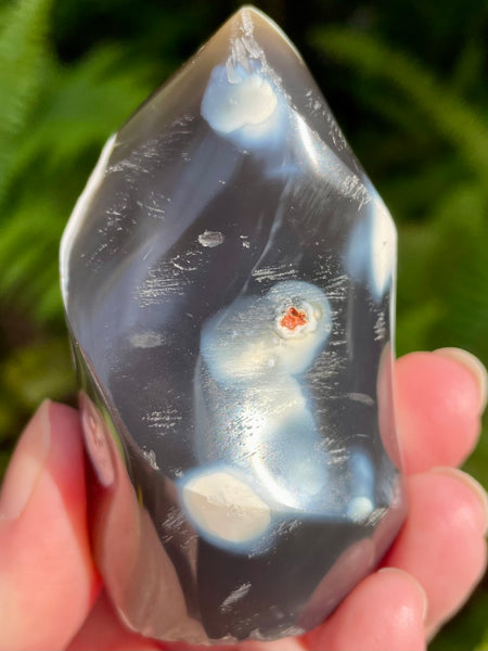Orca Agate Flame - Morganna’s Treasures