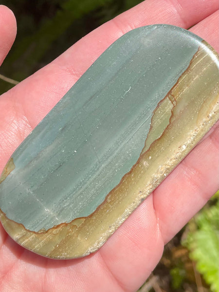 Succor Creek Picture Jasper Palm Stone - Morganna’s Treasures
