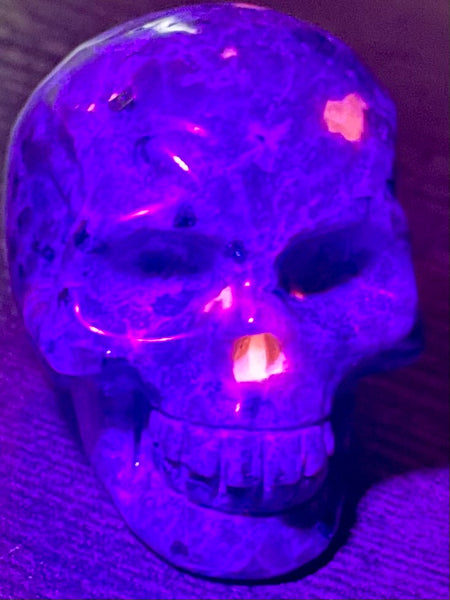 Carved Yooperlite (Fluorescent Sodalite)  Skull - Morganna’s Treasures 