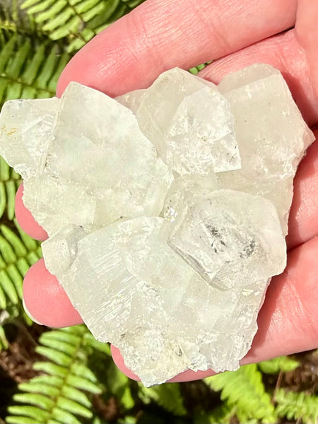 Apophyllite Cluster