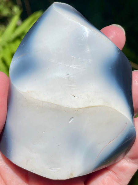 Orca Agate Flame - Morganna’s Treasures