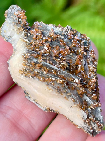 Vanadinite on Barite Crystal Cluster - Morganna’s Treasures 