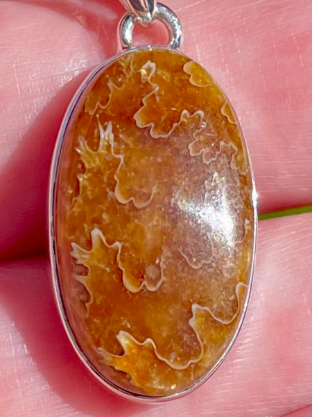 Sutured Ammonite Pendant - Morganna’s Treasures