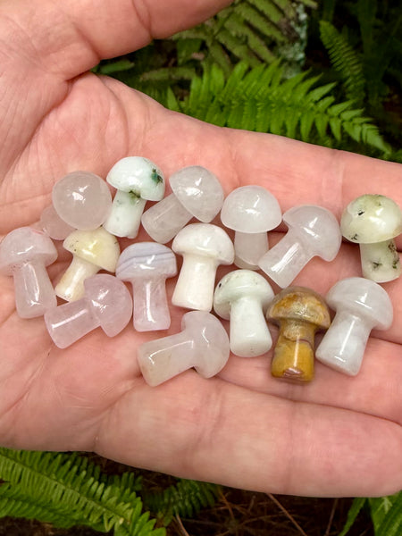 Intuitively Chosen Small Crystal Mushroom
