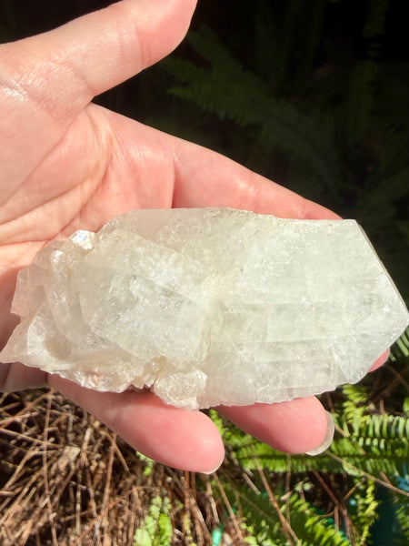 Large Apophyllite Cluster - Morganna’s Treasures