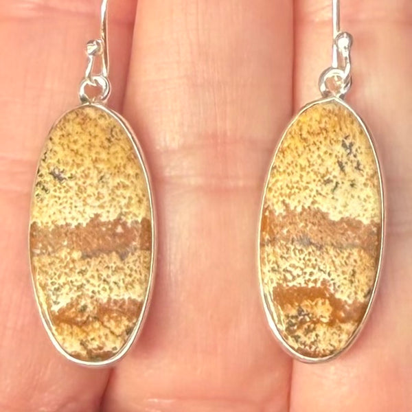 Picture Jasper Earrings - Morganna’s Treasures