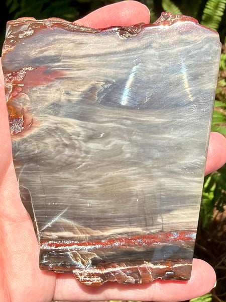 Gorgeous Cherry Creek Jasper Plate