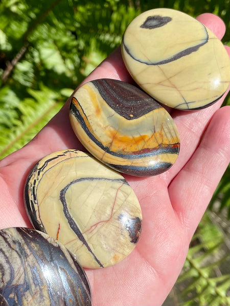 Stunning Tiger Iron Palm Stones from Australia - Morganna’s Treasures 