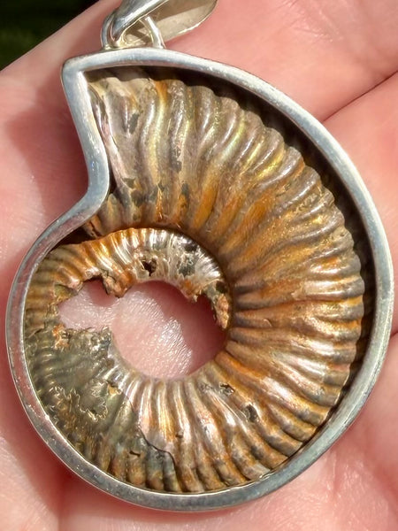 Fossil Quenstedtoceras Pyrite Ammonite Pendant - Morganna’s Treasures