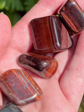 Red Tigers Eye Tumbled Stones - Morganna’s Treasures 