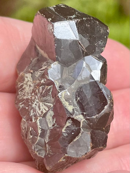 Botroyoidal Hematite from Morocco - Morganna’s Treasures 