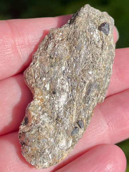 Beautiful Garnet with Mica Schist Palm Stone - Morganna’s Treasures