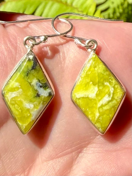 Lizardite Earrings - Morganna’s Treasures