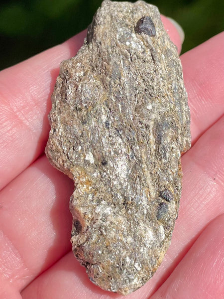 Beautiful Garnet with Mica Schist Palm Stone - Morganna’s Treasures