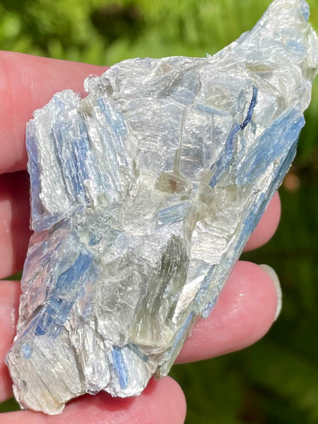 Rough Blue Kyanite - Morganna’s Treasures 