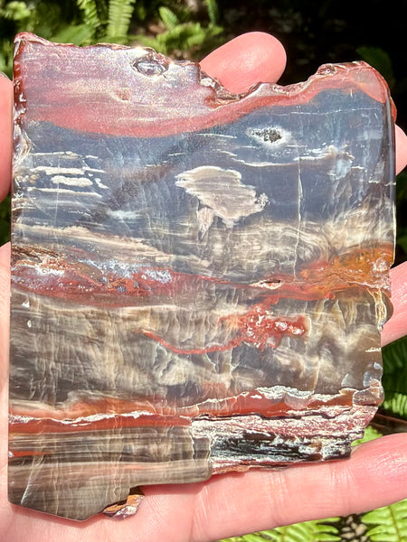 Gorgeous Cherry Creek Jasper Plate
