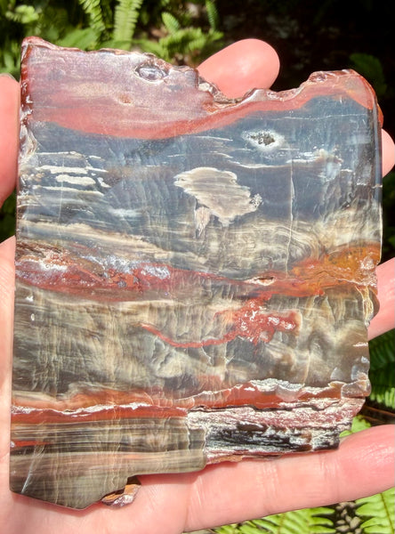Gorgeous Cherry Creek Jasper Plate