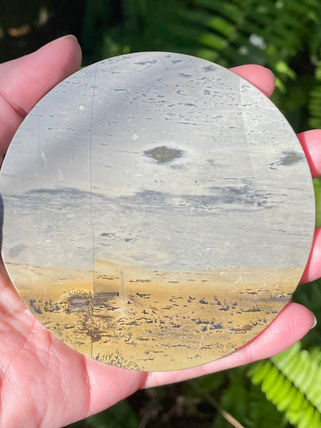 Picture Jasper Charging Plate