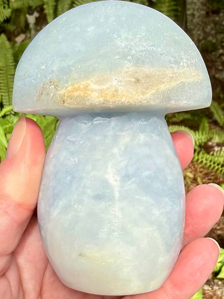 Blue Calcite Mushroom
