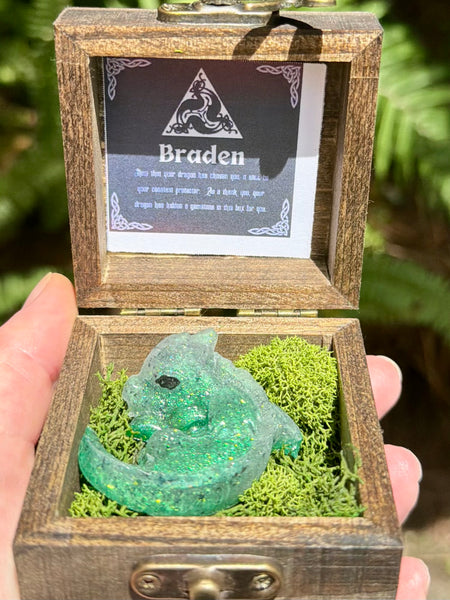“Braden” Dragon Protector