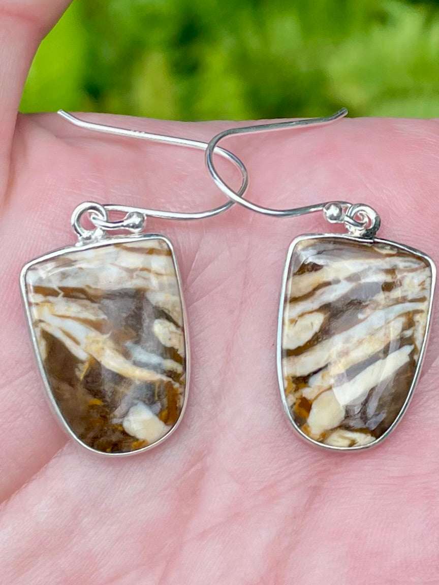 Peanut Wood Jasper Earrings - Morganna’s Treasures 