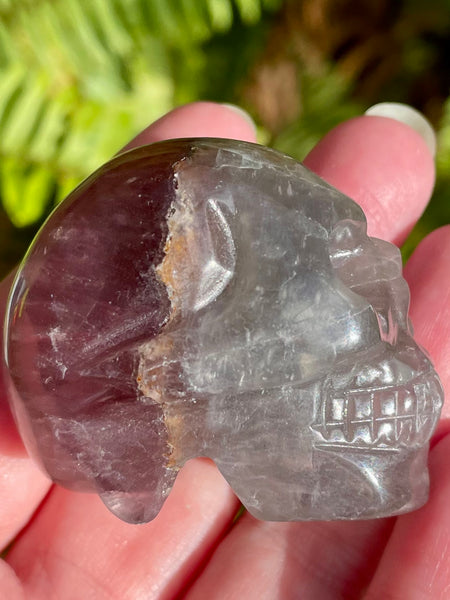 Carved Fluorite Skull - Morganna’s Treasures 