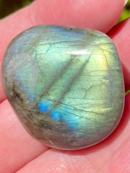 Labradorite Palm Stone - Morganna’s Treasures