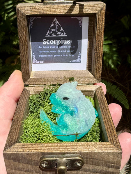 “Scorpius” Dragon Protector