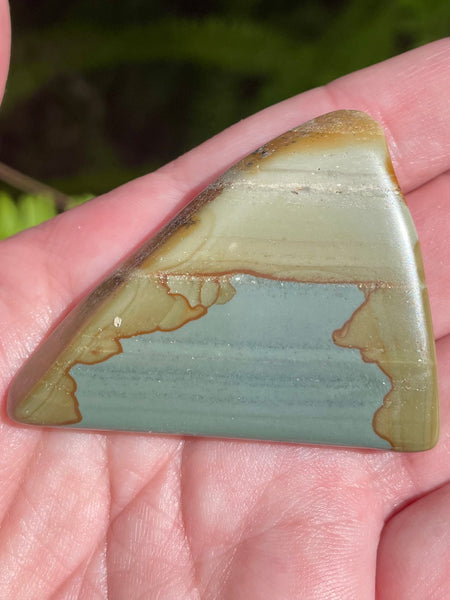Succor Creek Picture Jasper Palm Stone - Morganna’s Treasures