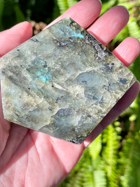 Labradorite Slab - Morganna’s Treasures