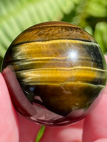 Tigers Eye Sphere - Morganna’s Treasures 