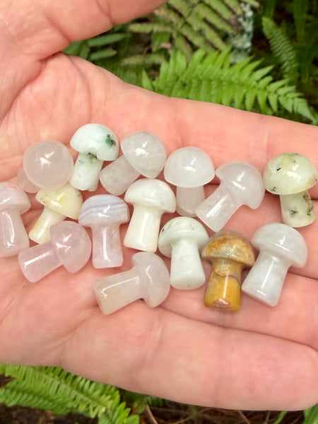 Intuitively Chosen Small Crystal Mushroom