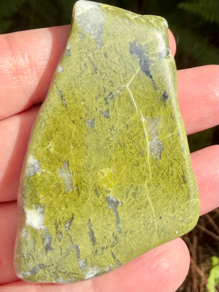 Epidote Palm Stone - Morganna’s Treasures